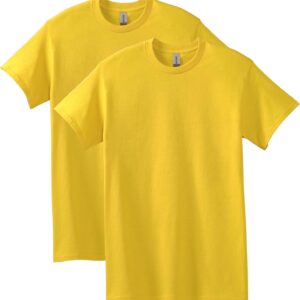 Gildan Adult Heavy Cotton T-Shirt, Style G5000, Multipack