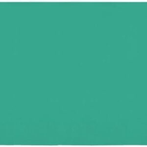 Lion Office Equipment Desk Mat, Non-Transfer Coat, 54.7 x 27.2 inches (1390 x 690 mm), No.147N with Green Mat