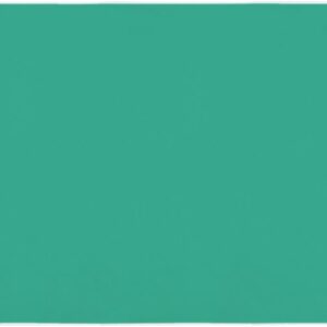 Lion Office Products Desk Mat (soft and non-transfer type code) 1.8mm thick Adaptation top plate size: W1000 x D700mm Green Mat: 2mm thickness No.107N \/ 25556 (japan import)