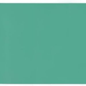 Lion Office Supplies Desk Mat, 53.1 x 24.4 inches (1355 x 620 mm), No.3-PSK with Green Mat