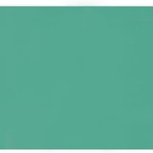 Lion Office Supplies No.117-PSK Desk Mat, 42.7 x 27.2 inches (1090 x 690 mm), Green Mat Included