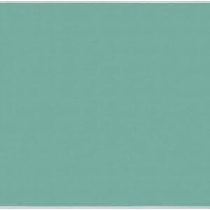 Lion Office Supplies No.127-PRM Desk Mat, 47.2 x 27.2 inches (1190 x 690 mm), Green Mat Included