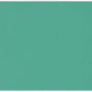 Lion Office Supplies No.127-PSK Desk Mat, 47.2 x 27.2 inches (1190 x 690 mm), Green Mat Included