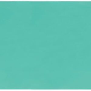 Lion Office Supplies No.166-PRK Desk Mat, 62.0 x 23.2 inches (1590 x 590 mm), Green Mat Included